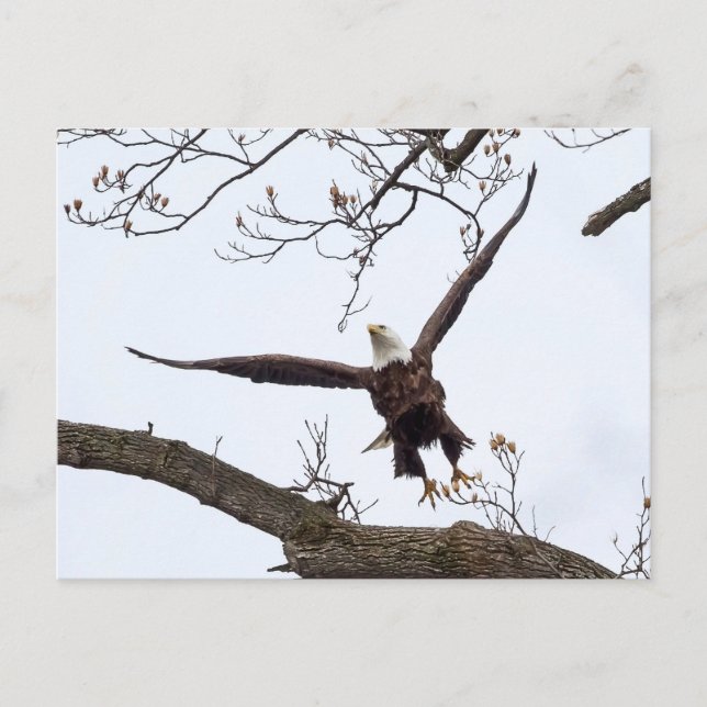 Uppmjukande Vykort (Framsida)