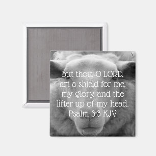 "Uppmjukning av mitt huvud" Psalm 3:3 Fårbakgrund Magnet