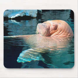 Uppmjukning av musknappen Walrus Musmatta