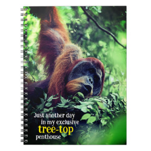 Uppmjukning av Orangutan i träd Anteckningsbok