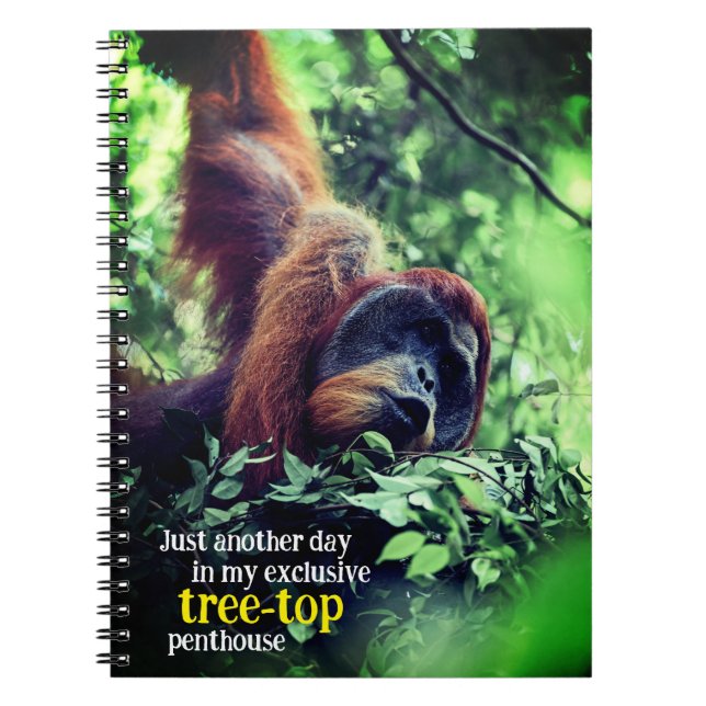 Uppmjukning av Orangutan i träd Anteckningsbok (Framsidan)