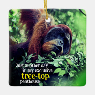 Uppmjukning av Orangutan i träd Julgransprydnad Keramik