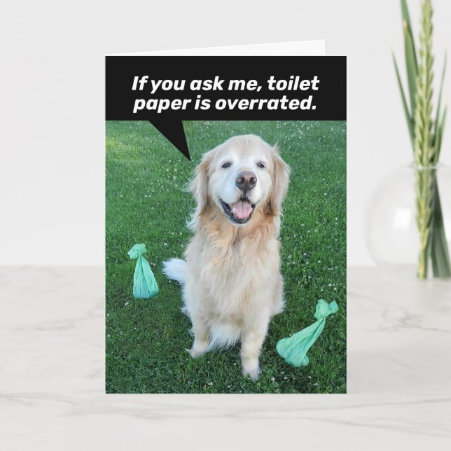 Uppmunningskort för Golden Retriever TP Kort (Framsida)