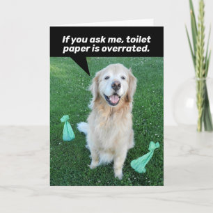 Uppmunningskort för Golden Retriever TP Kort