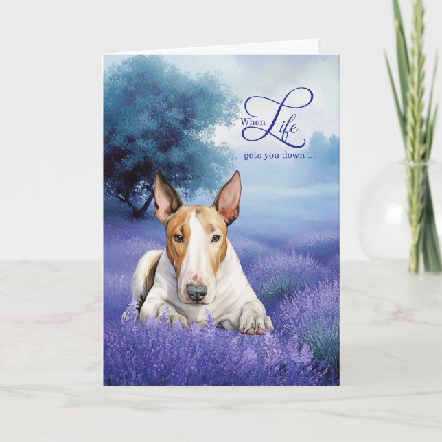 Uppmuntra Bull Terrier Hund Lavendeläng Kort (Framsida)