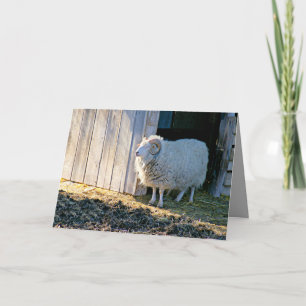 Uppmuntra, Cute Farm Scene i solljus Kort