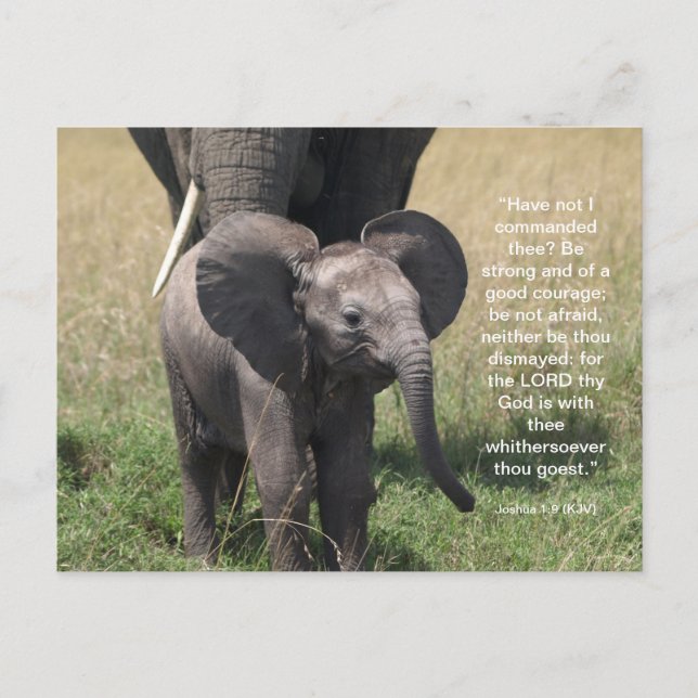 Uppmuntra dubbla vykort (Framsida)