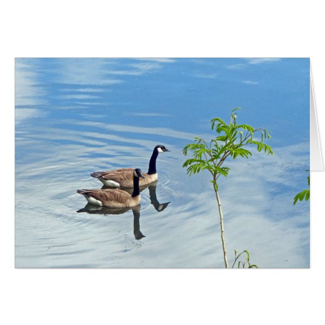 Uppmuntra en Simma Hälsningskort (Framsidan Horizontal)