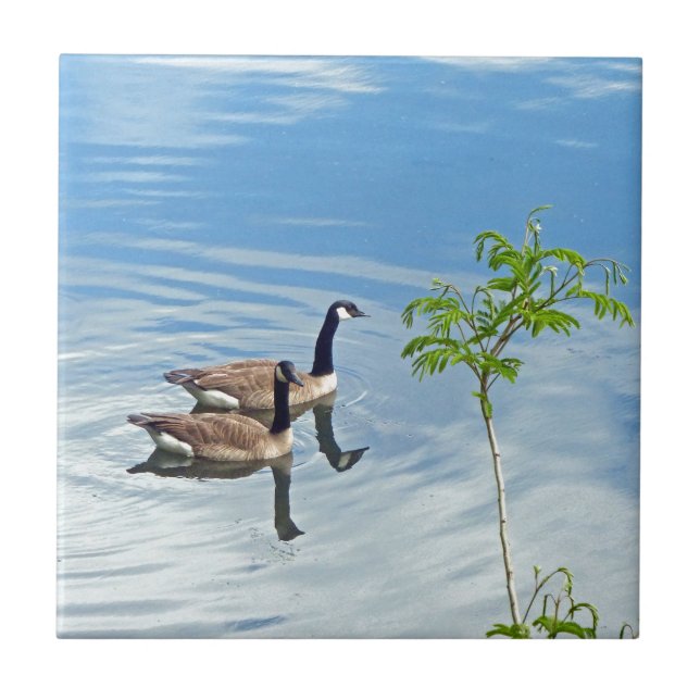 Uppmuntra en Simma Kakelplatta (Framsidan)