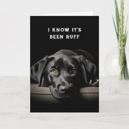 Uppmuntra/få bra Cute Black Labrador Hund Kort