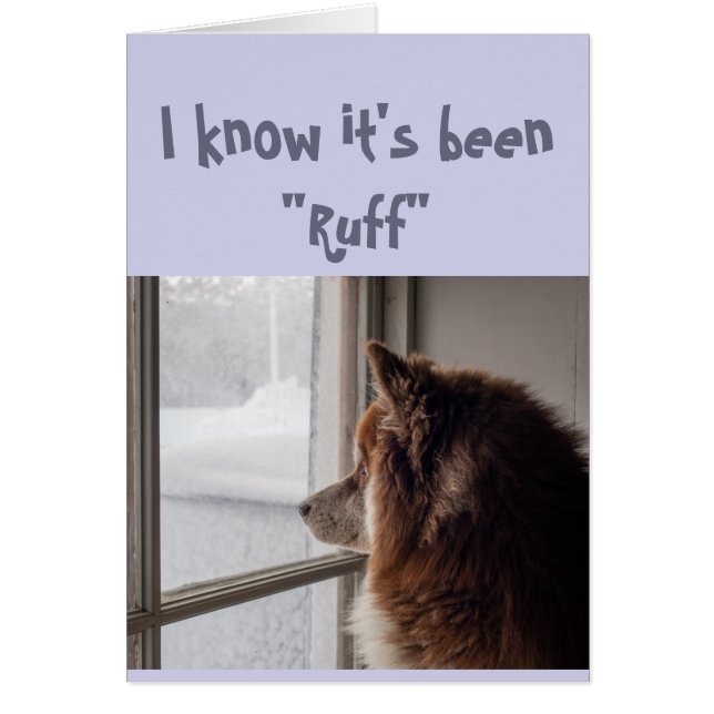 Uppmuntra/få bra Hund Tittar ut Hälsningskort (Framsidan)