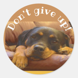 Uppmuntra inte Ge uppåt Rottweiler Runt Klistermärke