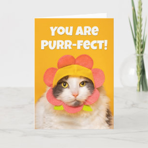 Uppmuntra klumpkatt i Flower Hat Humor Helgkort