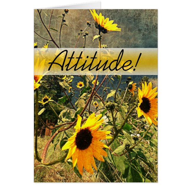 Uppmuntra solblommor före stormmolnen OBS kort (Framsidan)