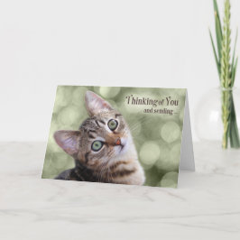 Uppmuntra tankarna på dig Tabby Kitten Kort