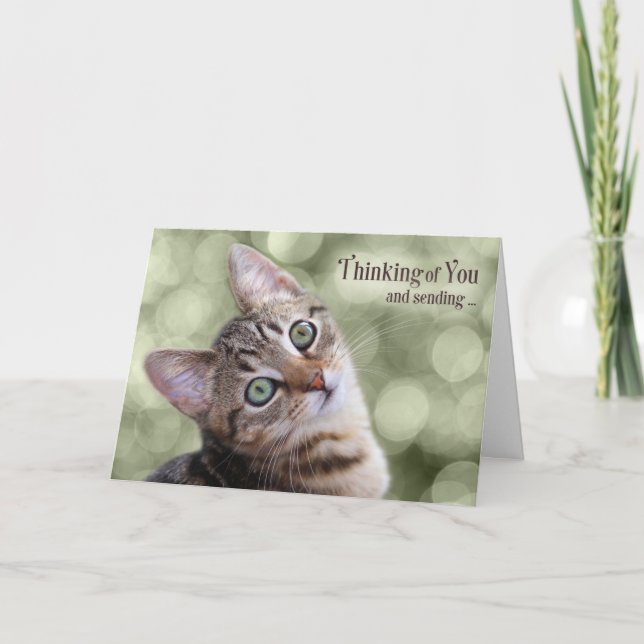 Uppmuntra tankarna på dig Tabby Kitten Kort (Framsida)