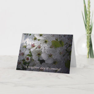 Uppmuntran av Blommar av äpple Kort