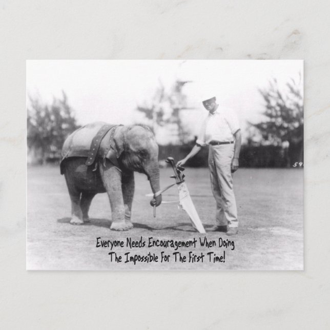 Uppmuntran - Elephant Platt Golf Vykort (Framsida)
