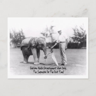 Uppmuntran - Elephant Platt Golf Vykort