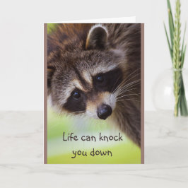 Uppmuntran Life kan slå ner dig med Raccoon Card Kort