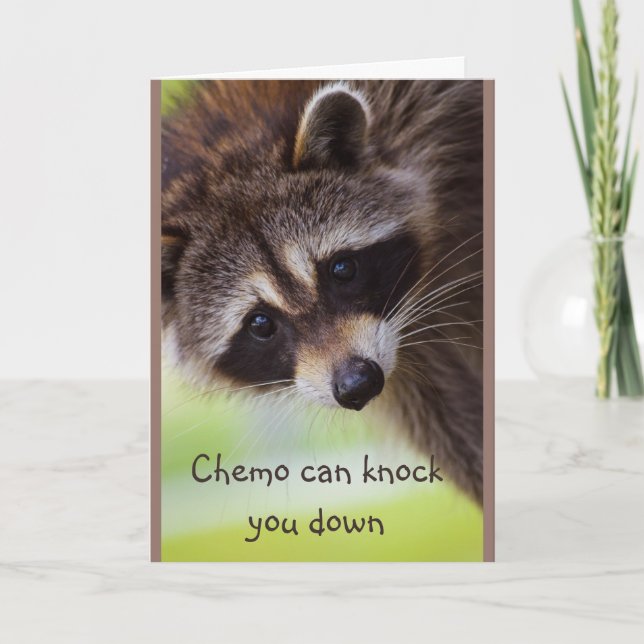 Uppmuntring Chemo kan slå ner Raccoon Kort (Framsida)