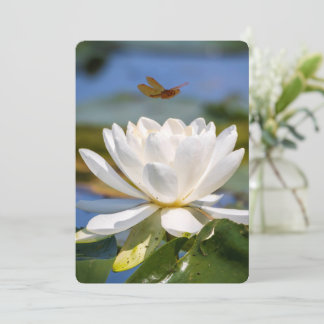 Uppmuntringskort: Inga lera, inga lotus