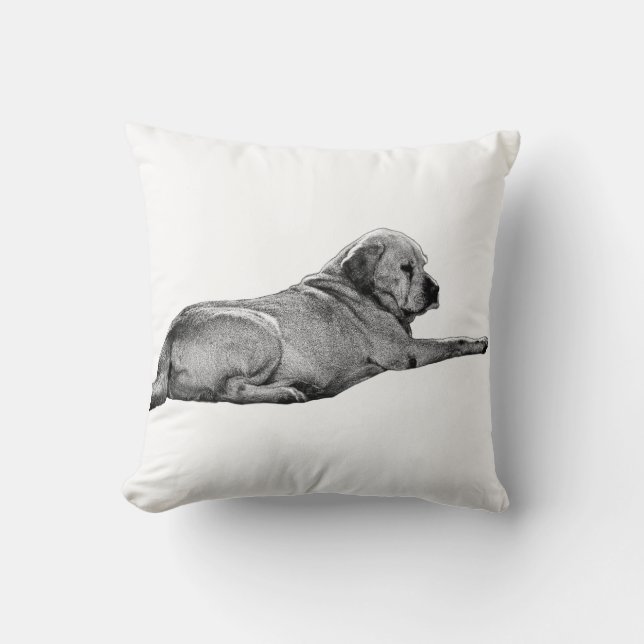 Uppnådd närvaro kudde (Framsida)