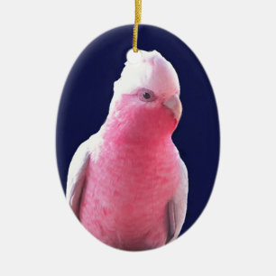 Uppnosig australiensisk papegoja för rosor och f julgransprydnad keramik