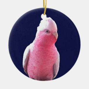Uppnosig australiensisk papegoja för rosor och f julgransprydnad keramik