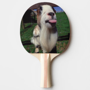 Uppnosig getbordtennis paddlar pingisracket