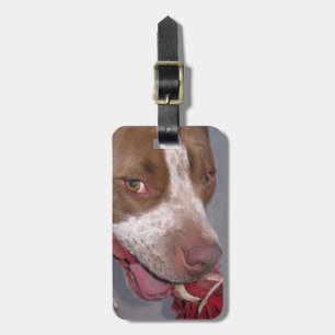 Uppnosig Pitbull bagagemärkre Bagagebricka