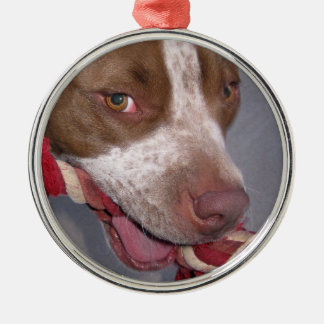 Uppnosiga Pitbull Julgransprydnad Metall