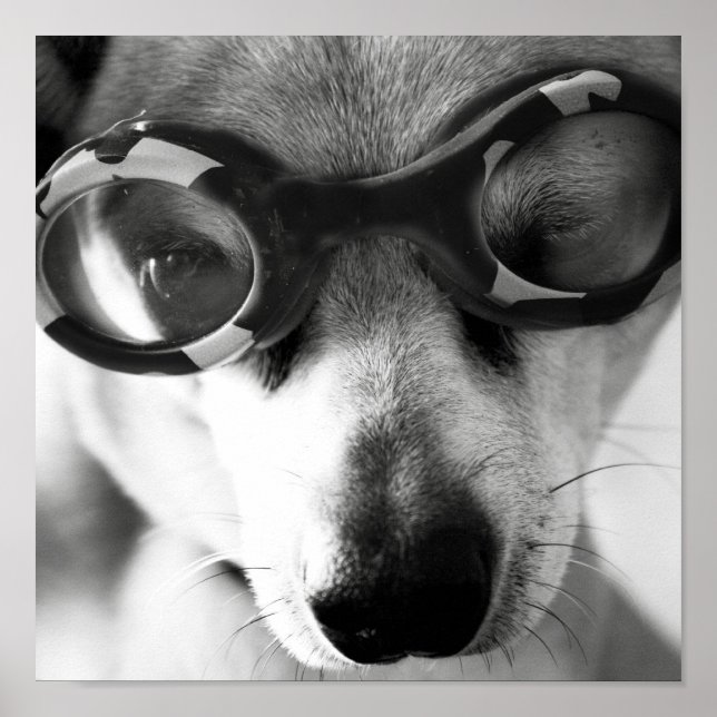 uppochnedvänd valp poster (Framsidan)