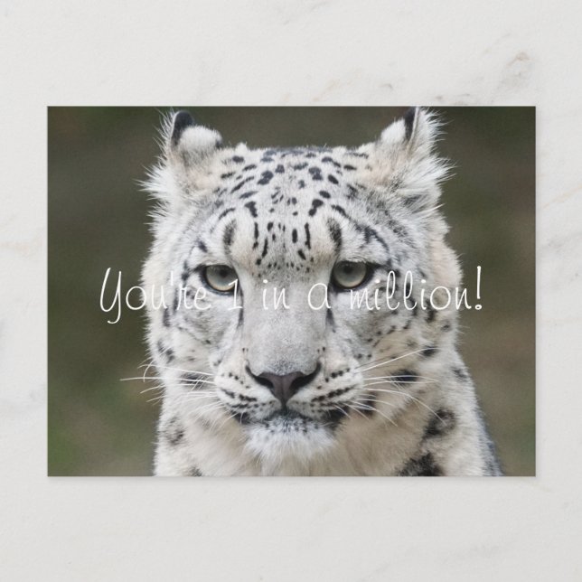 Upprigtig Snöleopard Tack Vykort (Framsida)