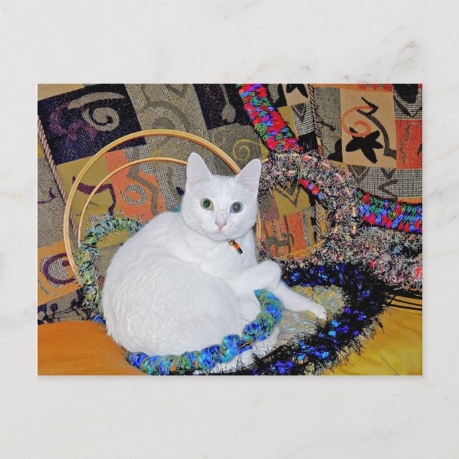 Uppringat vykort för serverfunktion (Framsida)