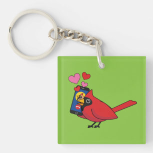 Uppringningar vid kardinal Bird Kärlek
