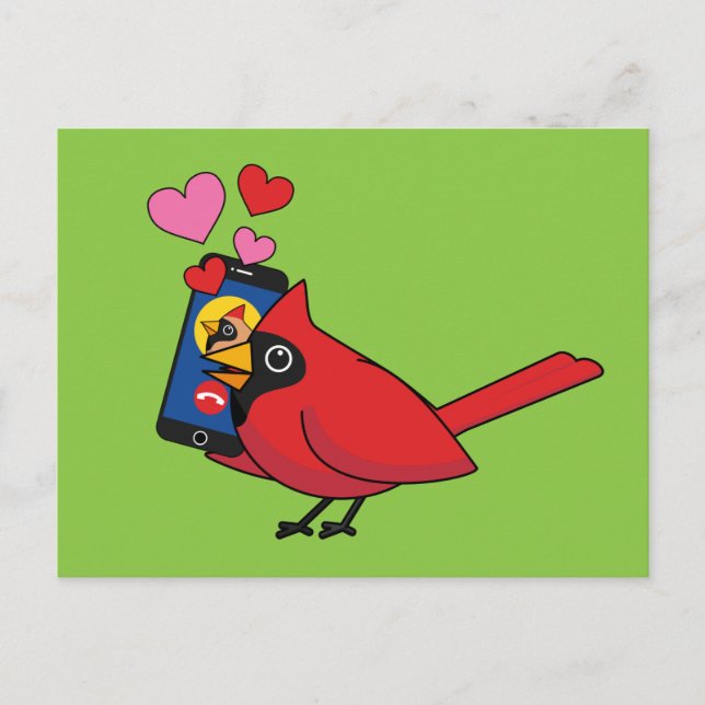 Uppringningar vid kardinal Bird Kärlek Vykort (Framsida)