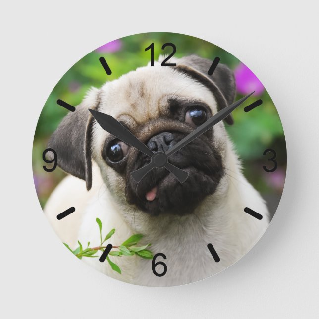 Uppringningsskylt för Cute Fawn Färg Pug Puppy Hun Rund Klocka (Framsida)