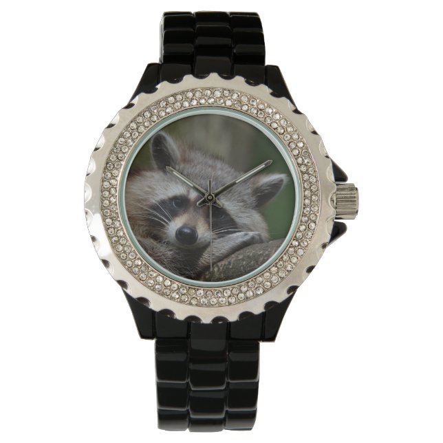 Upprörande Cute Baby Raccoon Armbandsur (Framsida)