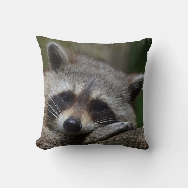 Upprörande gullig babyRaccoon Kudde (Framsida)