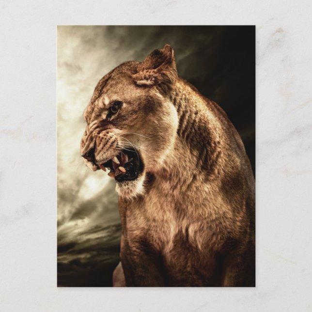 Upprörande lioness mot stormen himlar vykort (Framsida)