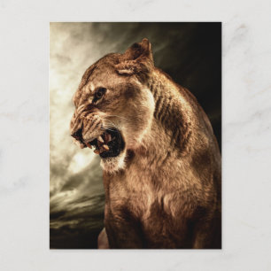 Upprörande lioness mot stormen himlar vykort