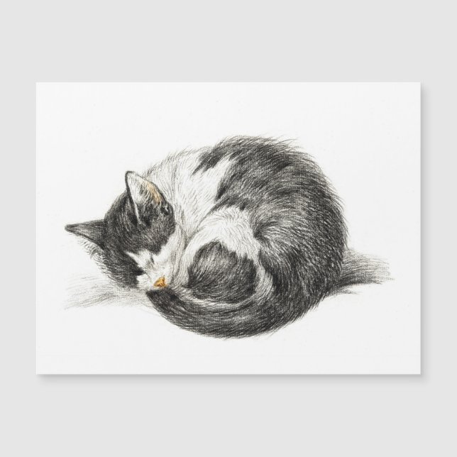 Upprullad ljugande sovkatt (1825) (Framsida)