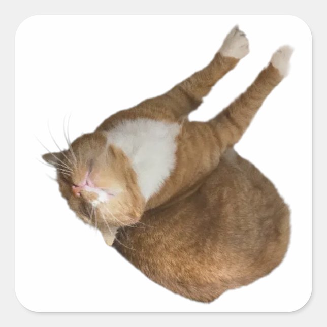 Uppsal Glädjekatt Fyrkantigt Klistermärke (Framsida)