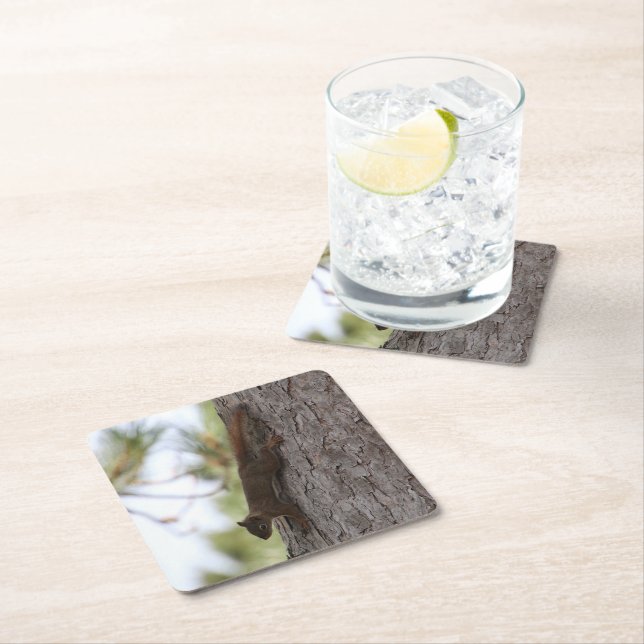 Uppsalad Ekorre Underlägg Papper Kvadrat (Insitu)