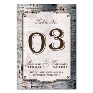 Uppsamling 03 vid Rustic Silver Birch Träd Bröllop Bordsnummer