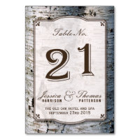 Uppsamling 21 vid Rustic Silver Birch Träd Bröllop