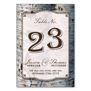 Uppsamling 23 vid Rustic Silver Birch Träd Bröllop Bordsnummer
