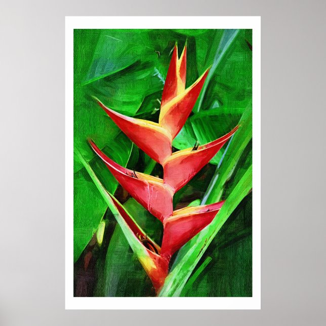 Uppsamling av Tropical heliconia oljemålning Poster (Framsidan)