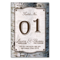 Uppsamlingen Rustic Silver Birch Träd Bröllop 01